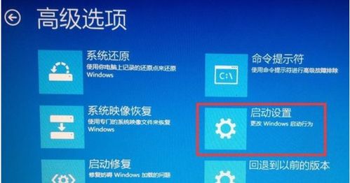 解决Windows驱动验证失败与数字签名问题 原因与对策